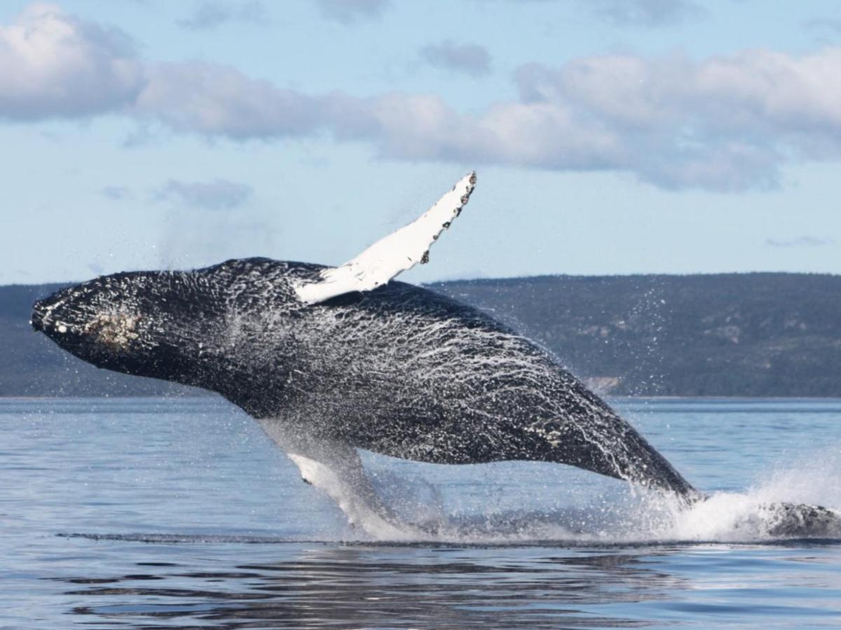 Chantmartin 3* Tadoussac